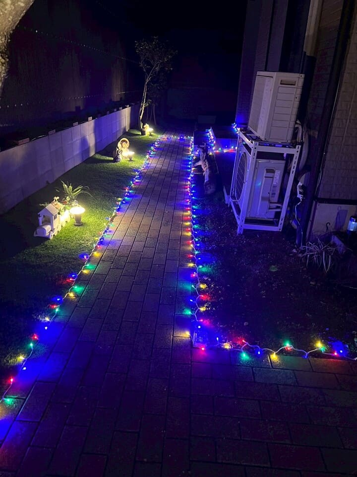 玄関アプローチ施工後のイルミネーション