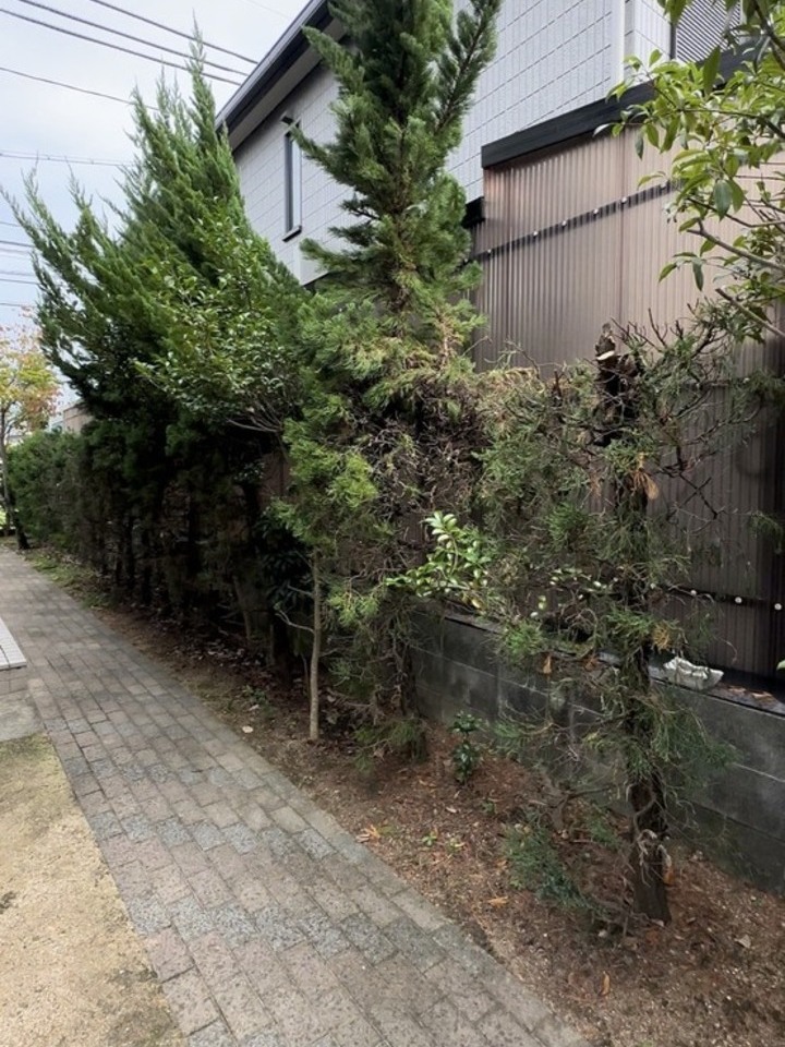 玄関アプローチ施工前の様子